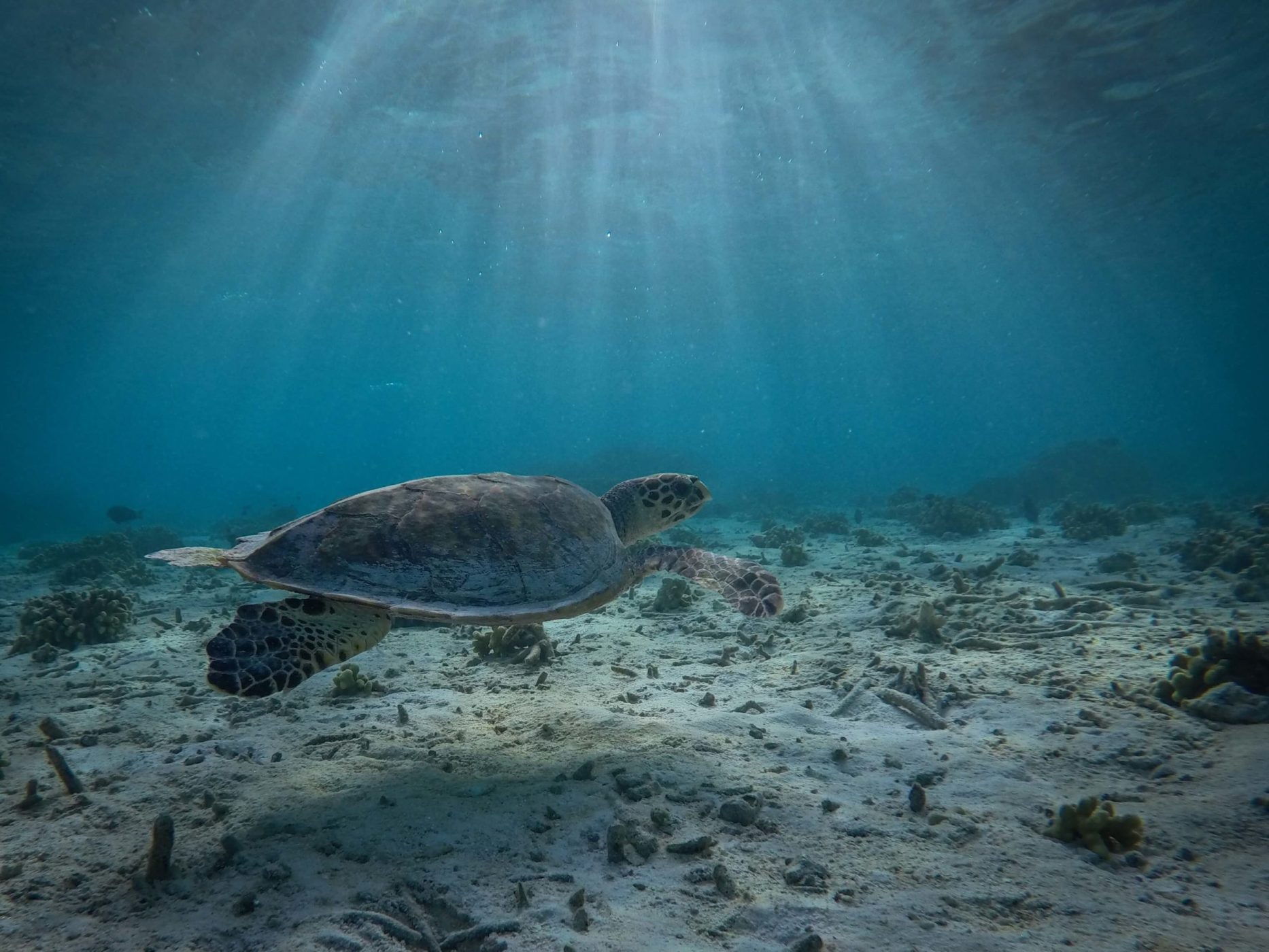 Summer Tours | Na Pali Catamaran